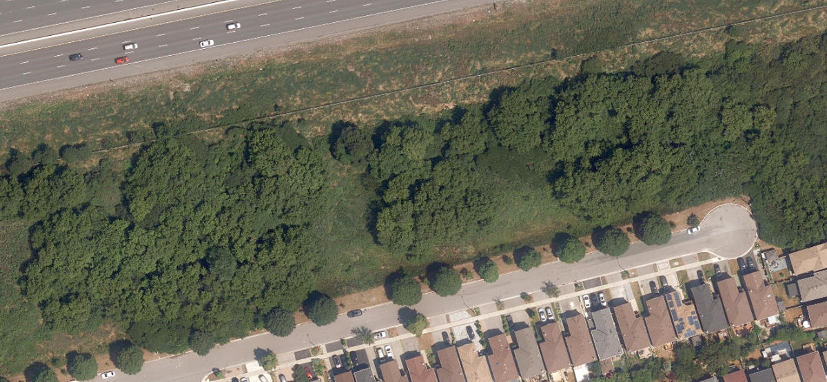 City Wide Open Space — site photograph