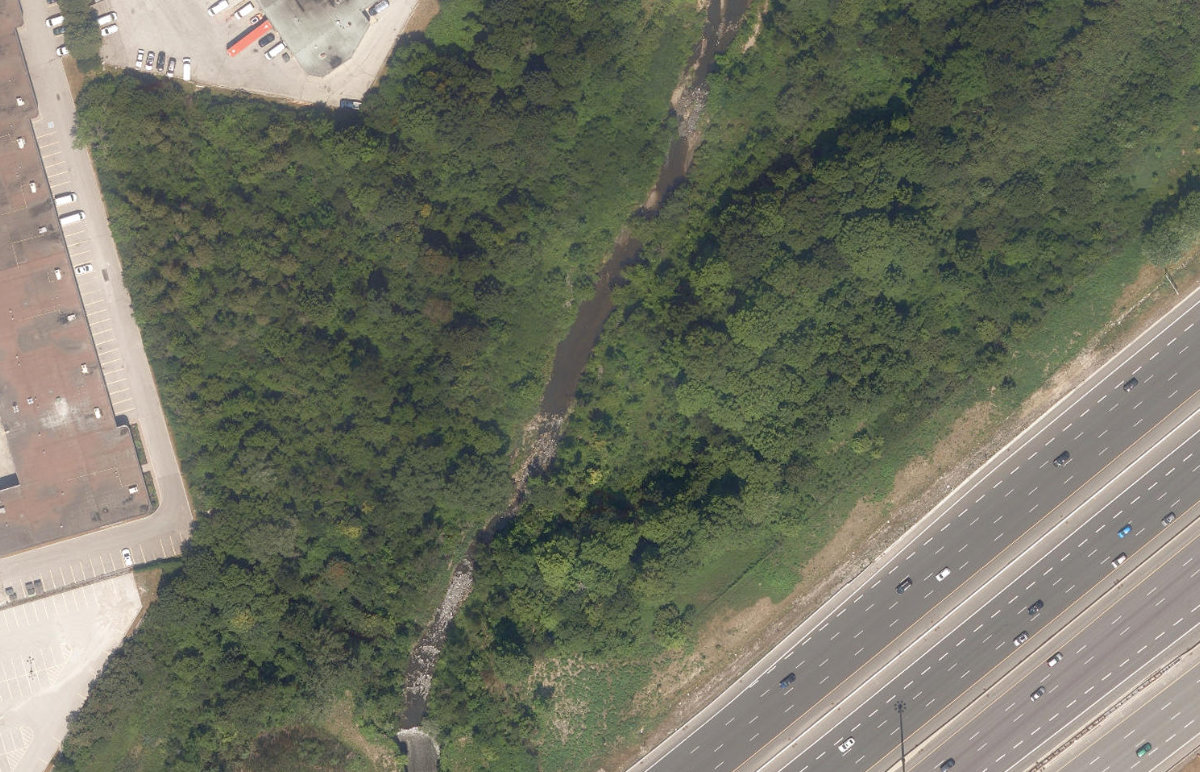 East Highland Creek Watercourse — site photograph