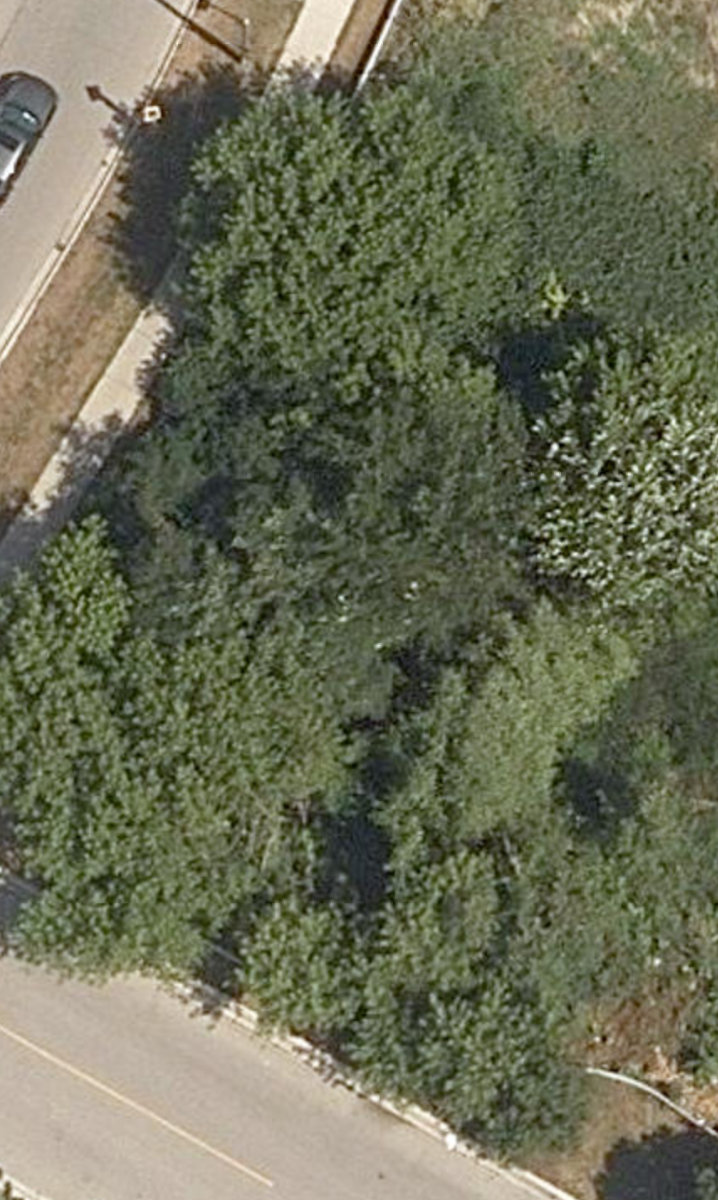 City Wide Open Space — site photograph