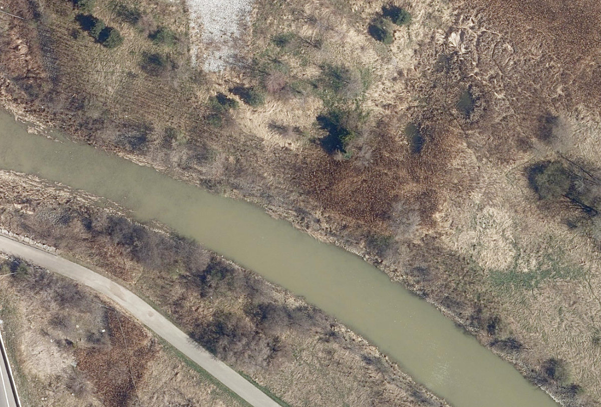 Humber Arboretum — site photograph