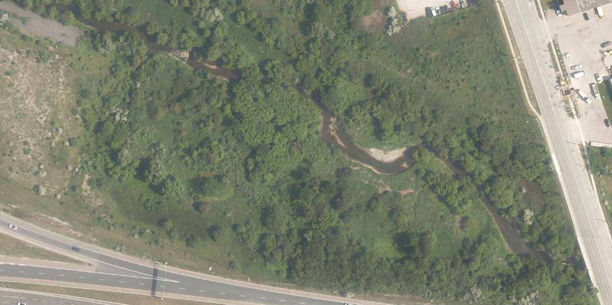 North Mimico Valley Park — site photograph