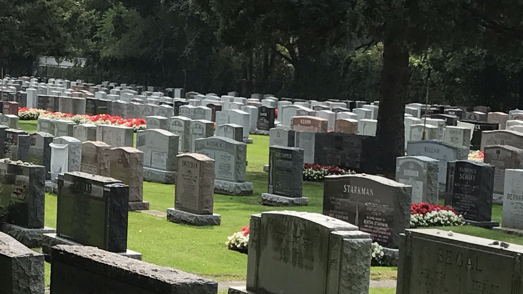Dawes Road Cemetery — site photograph