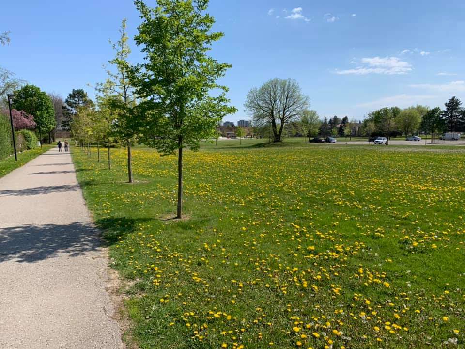 Terry Fox Park — site photograph