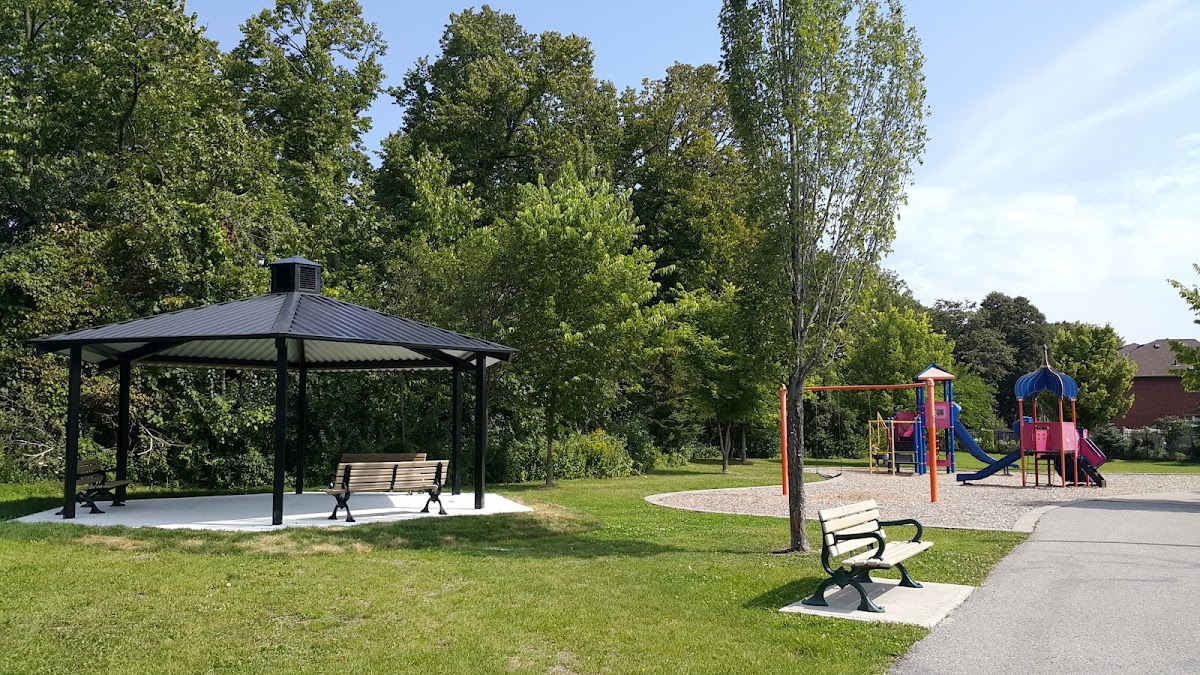 Starry Park — site photograph