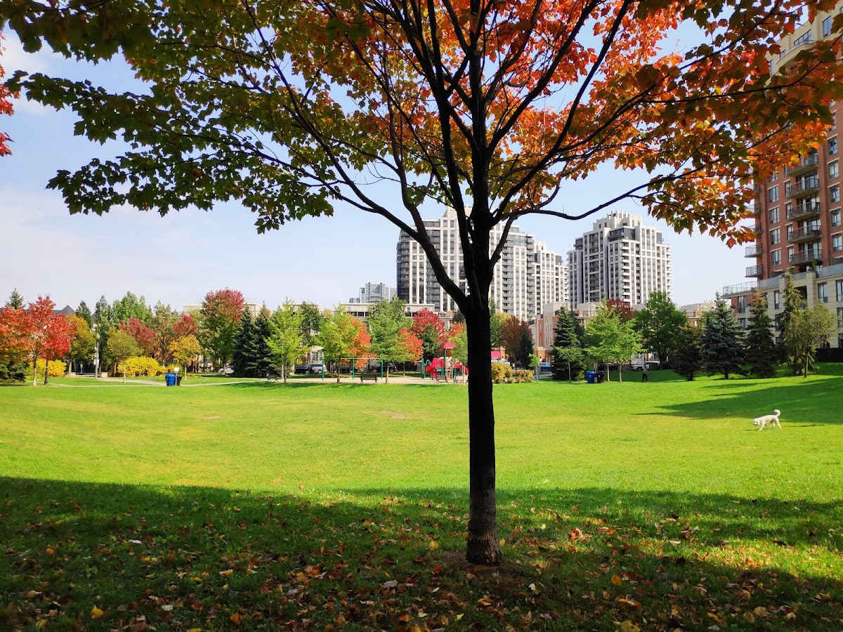 Avondale Park — site photograph