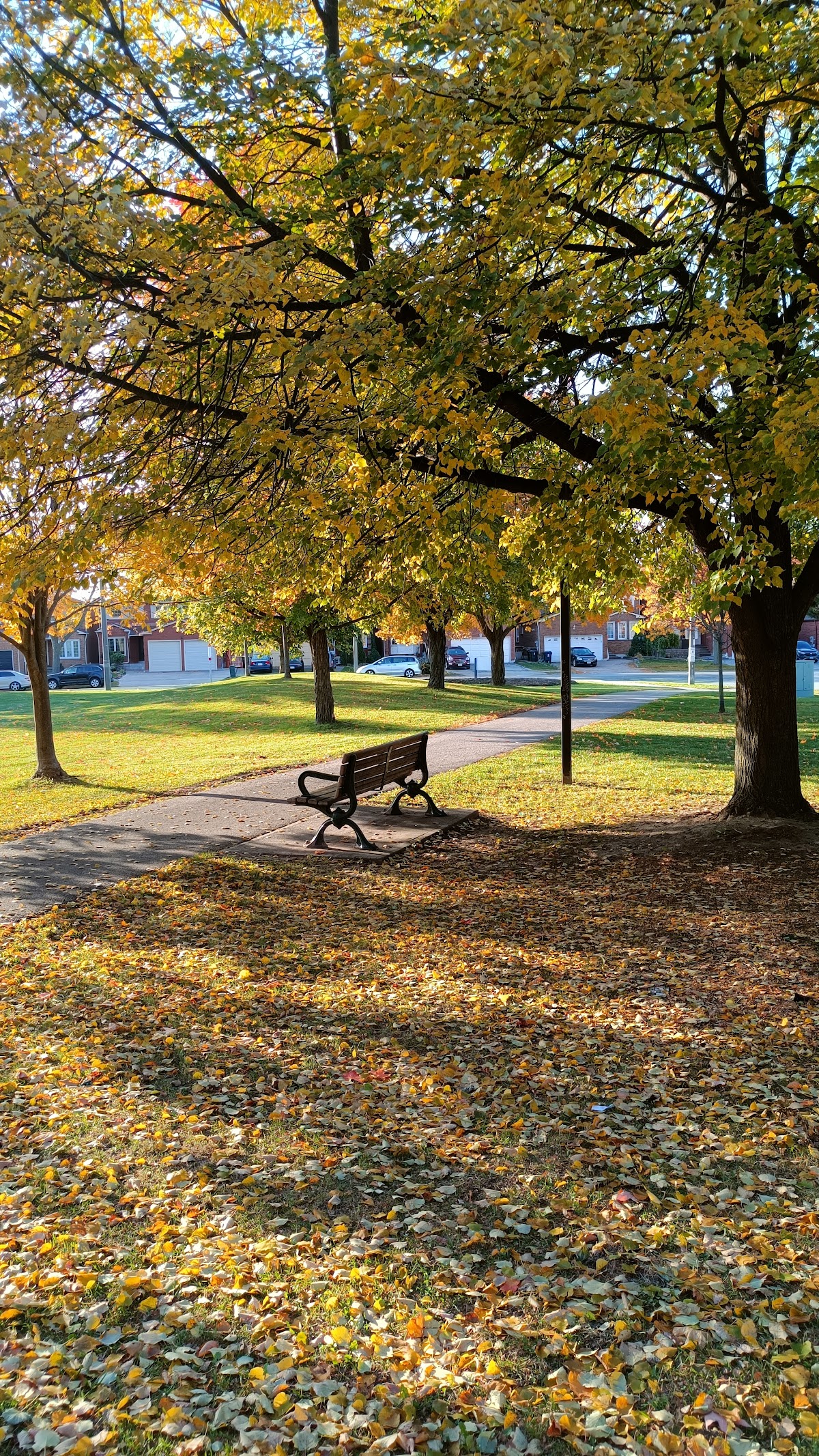 Harvest Moon Park — site photograph