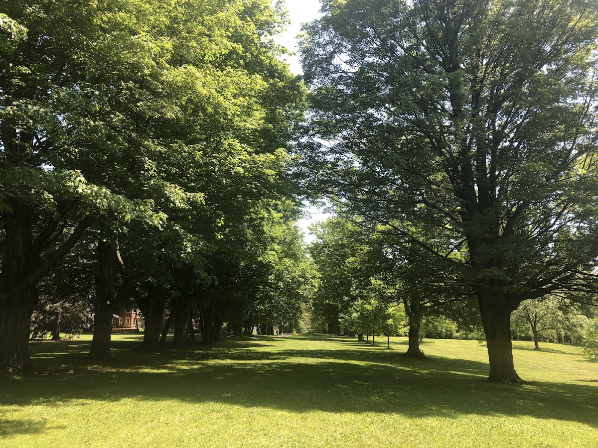 Brooks Road Park — site photograph