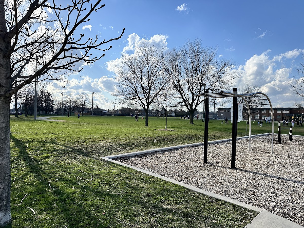 Gracedale Park — site photograph