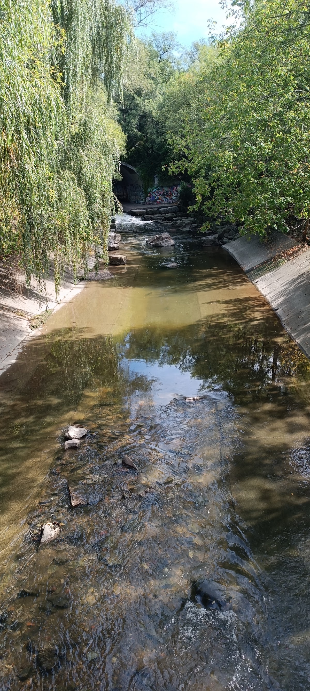 Black Creek Site West — site photograph