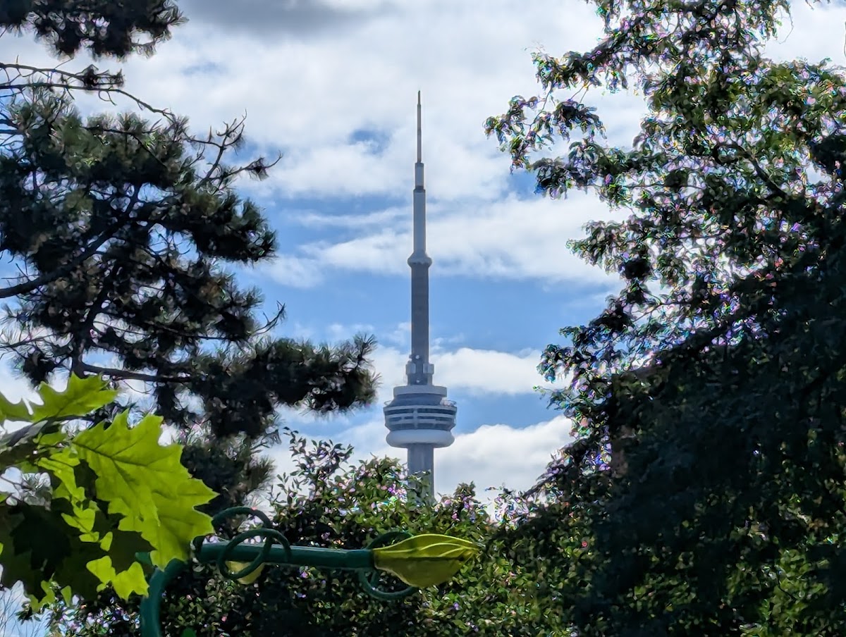 Osler Playground — site photograph