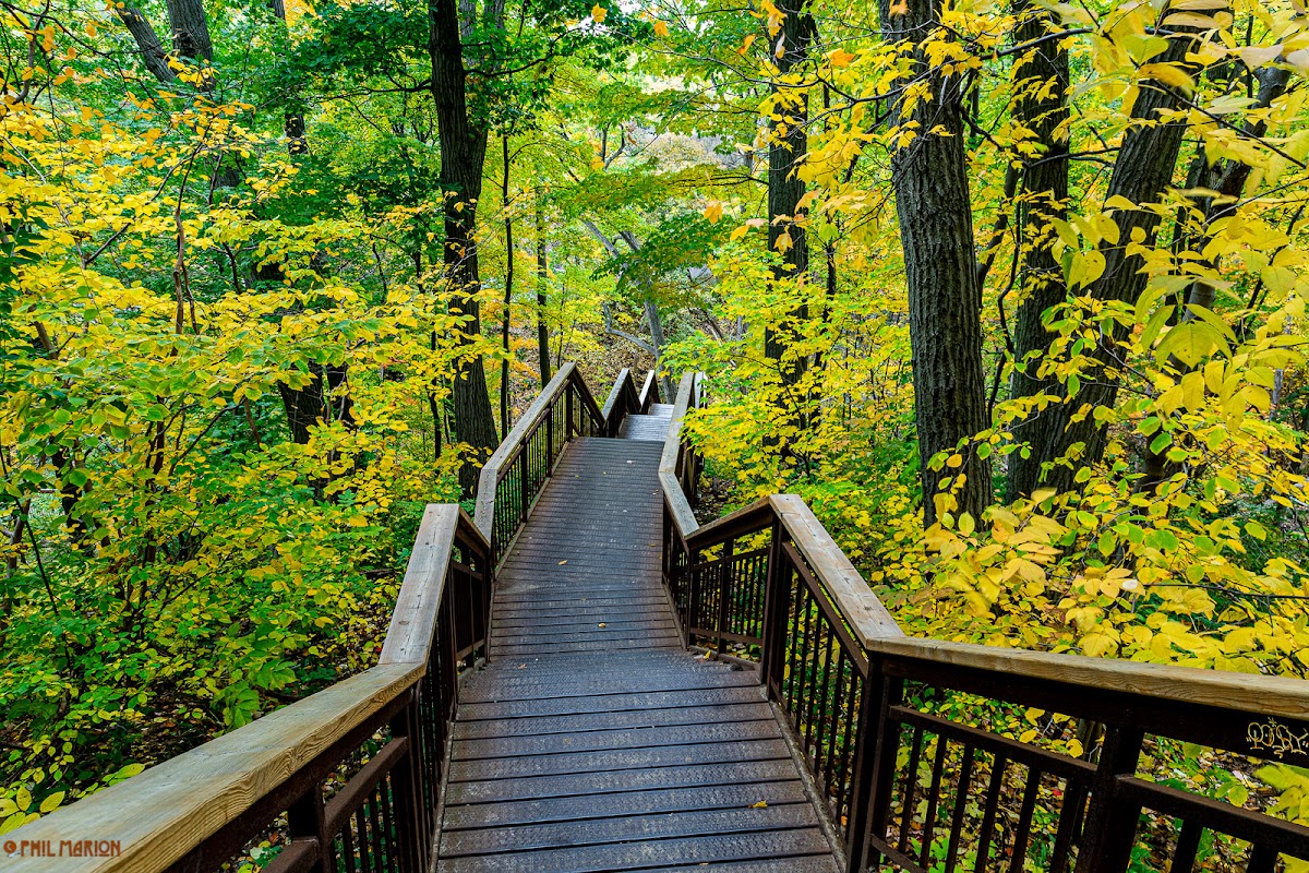 Glen Davis Ravine — site photograph