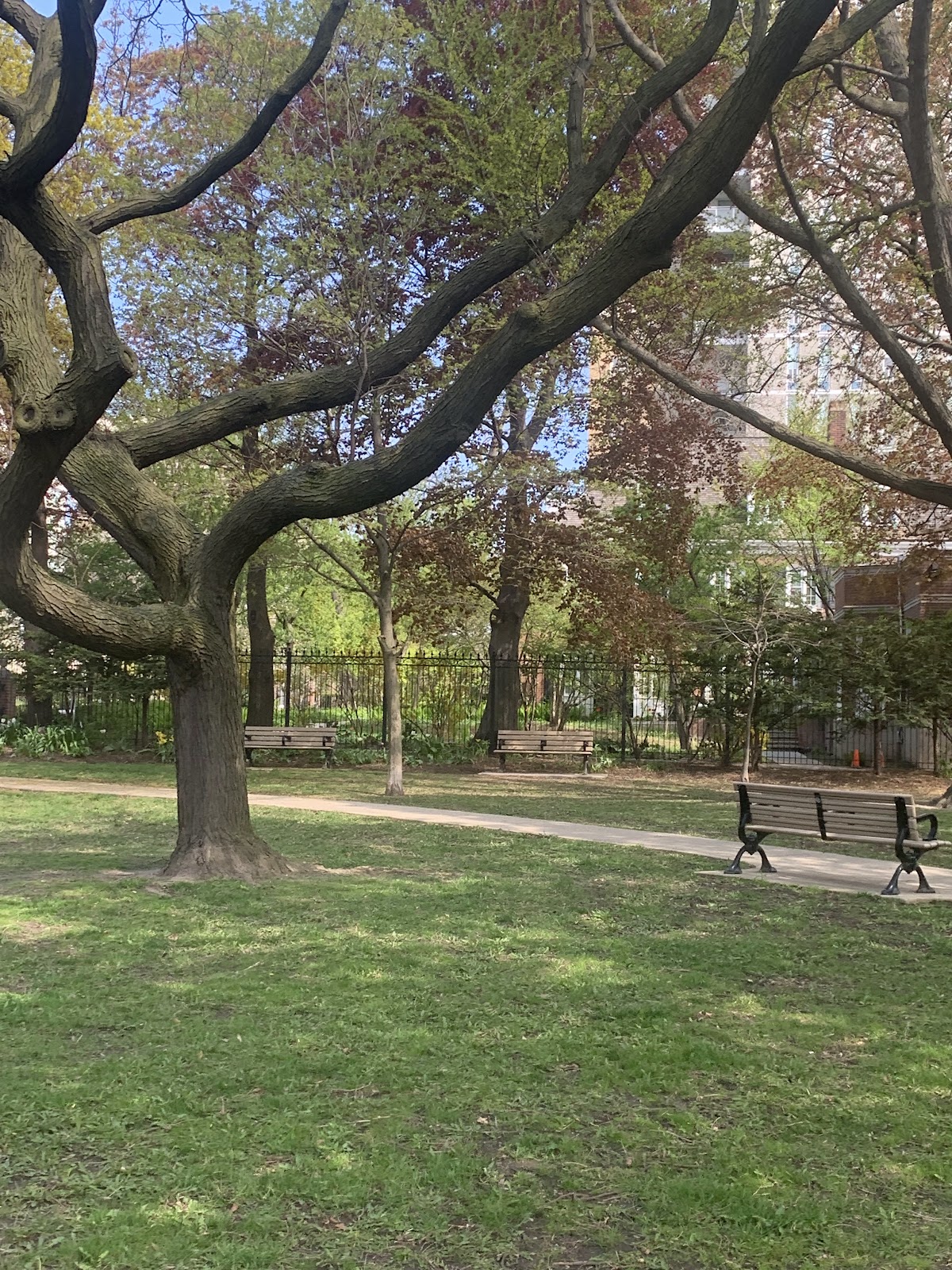 Amsterdam Square — site photograph