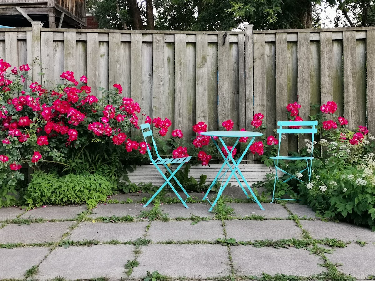 Dovercourt Park — site photograph