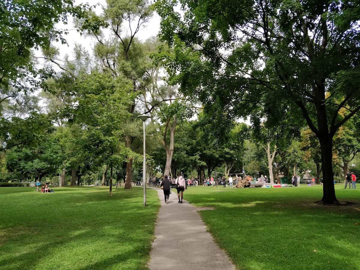Dufferin Grove Park — site photograph