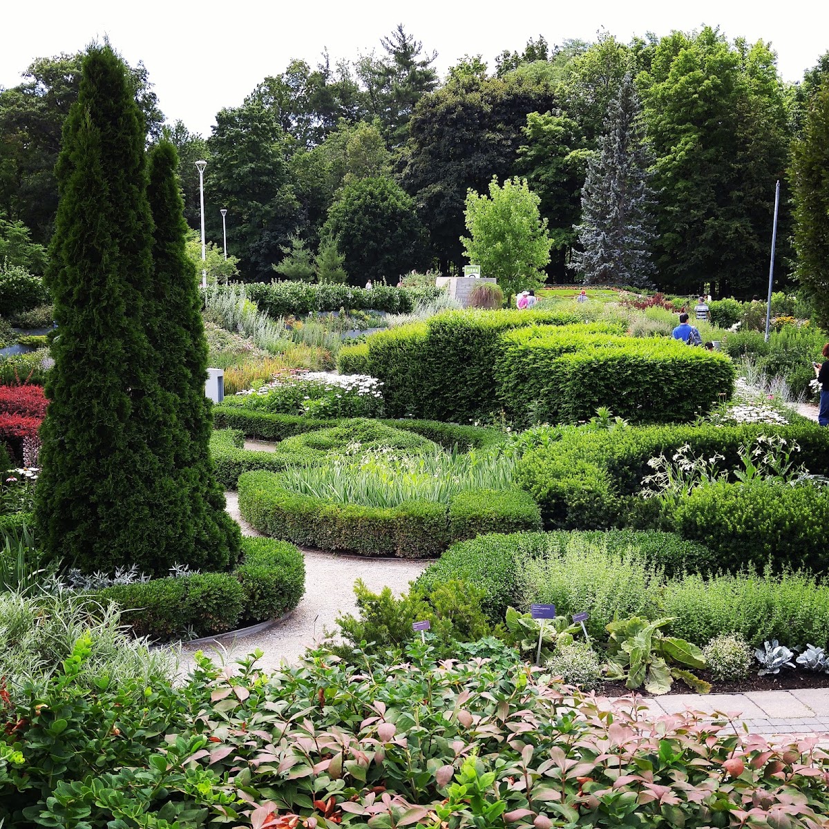 Edwards Gardens — site photograph