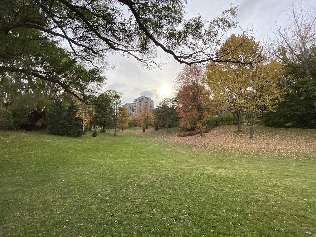 Dallington Park — site photograph