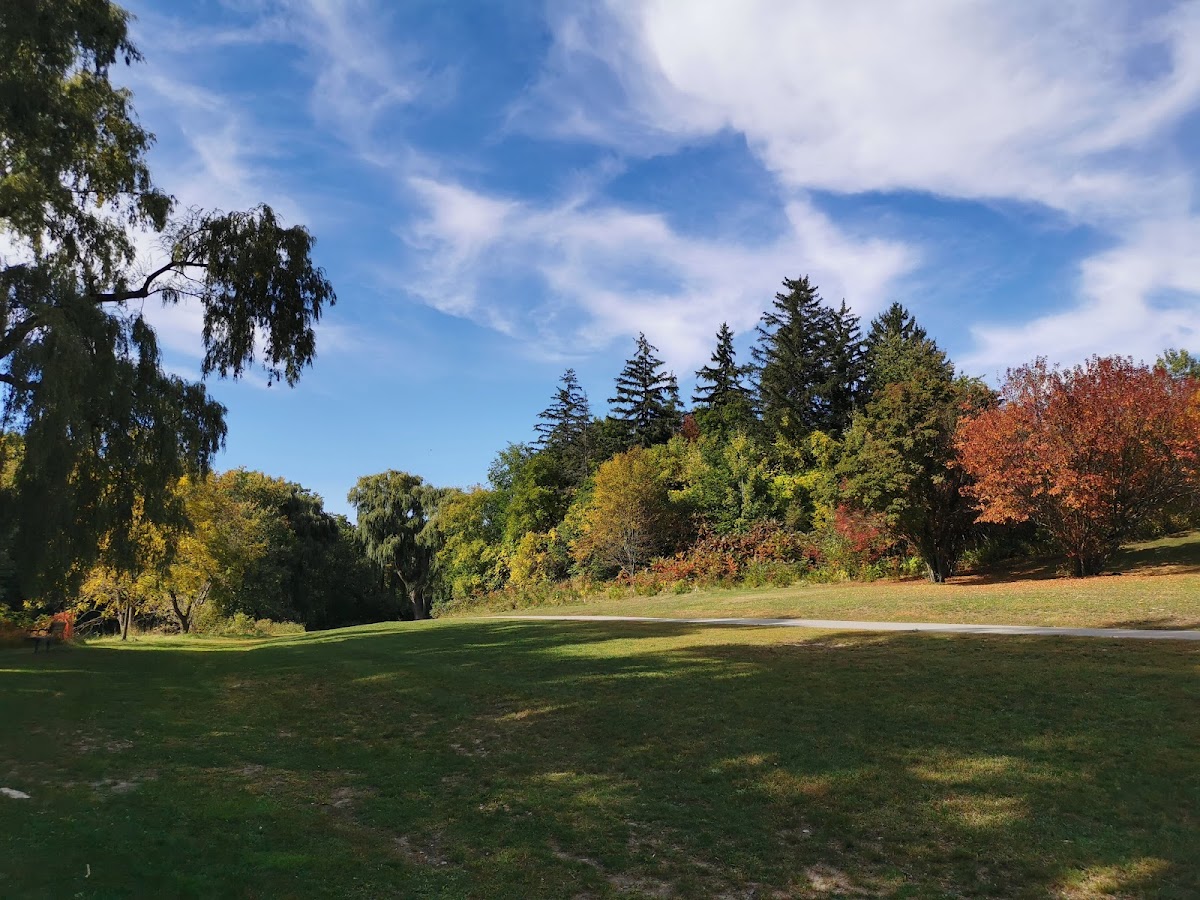 Windfields Park — site photograph