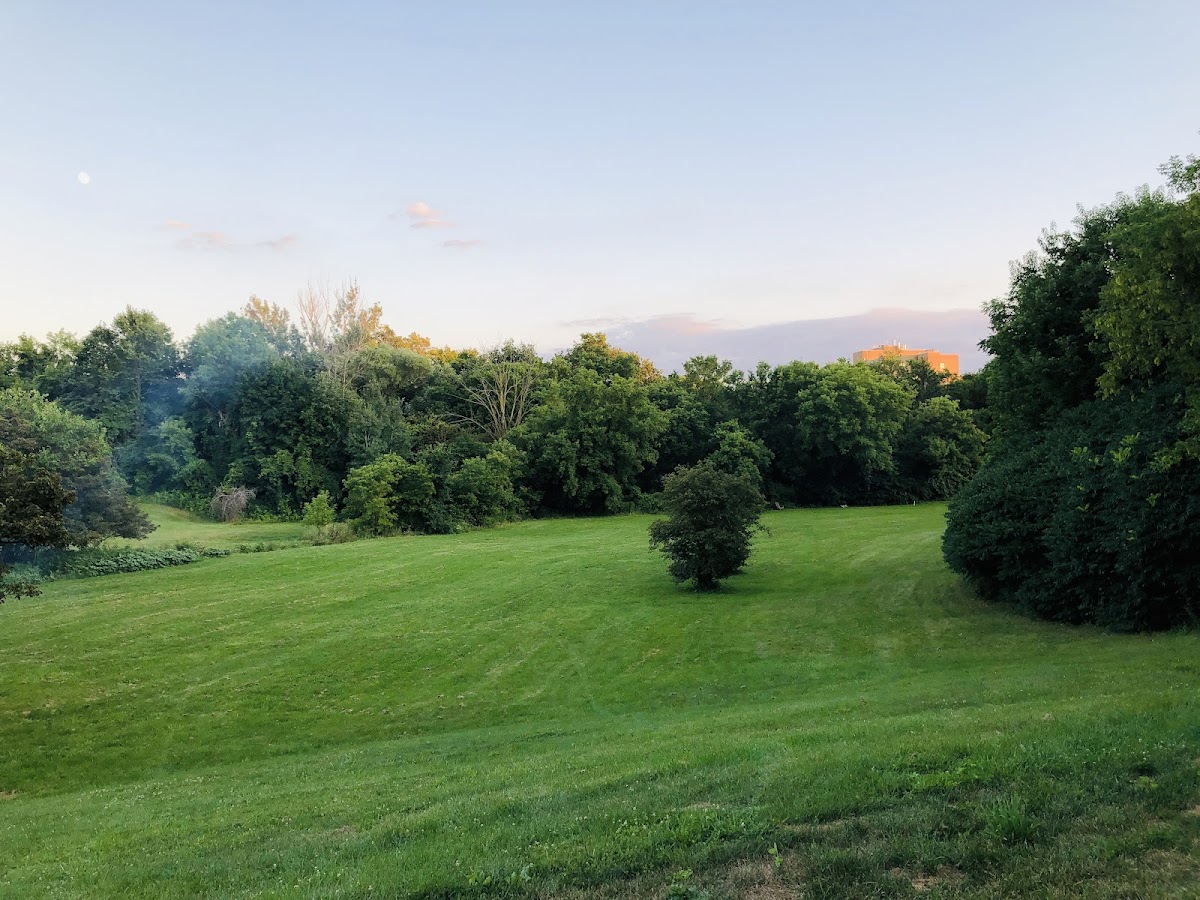 Roding Park — site photograph