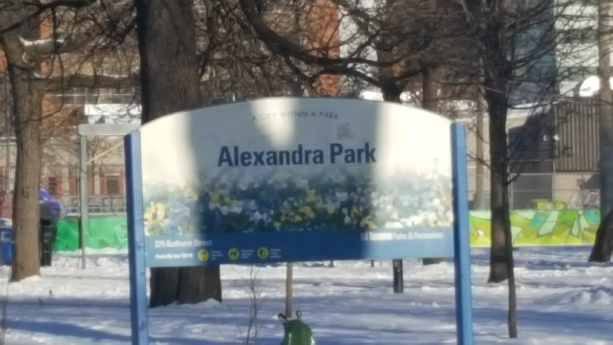 Alexandra Park — site photograph