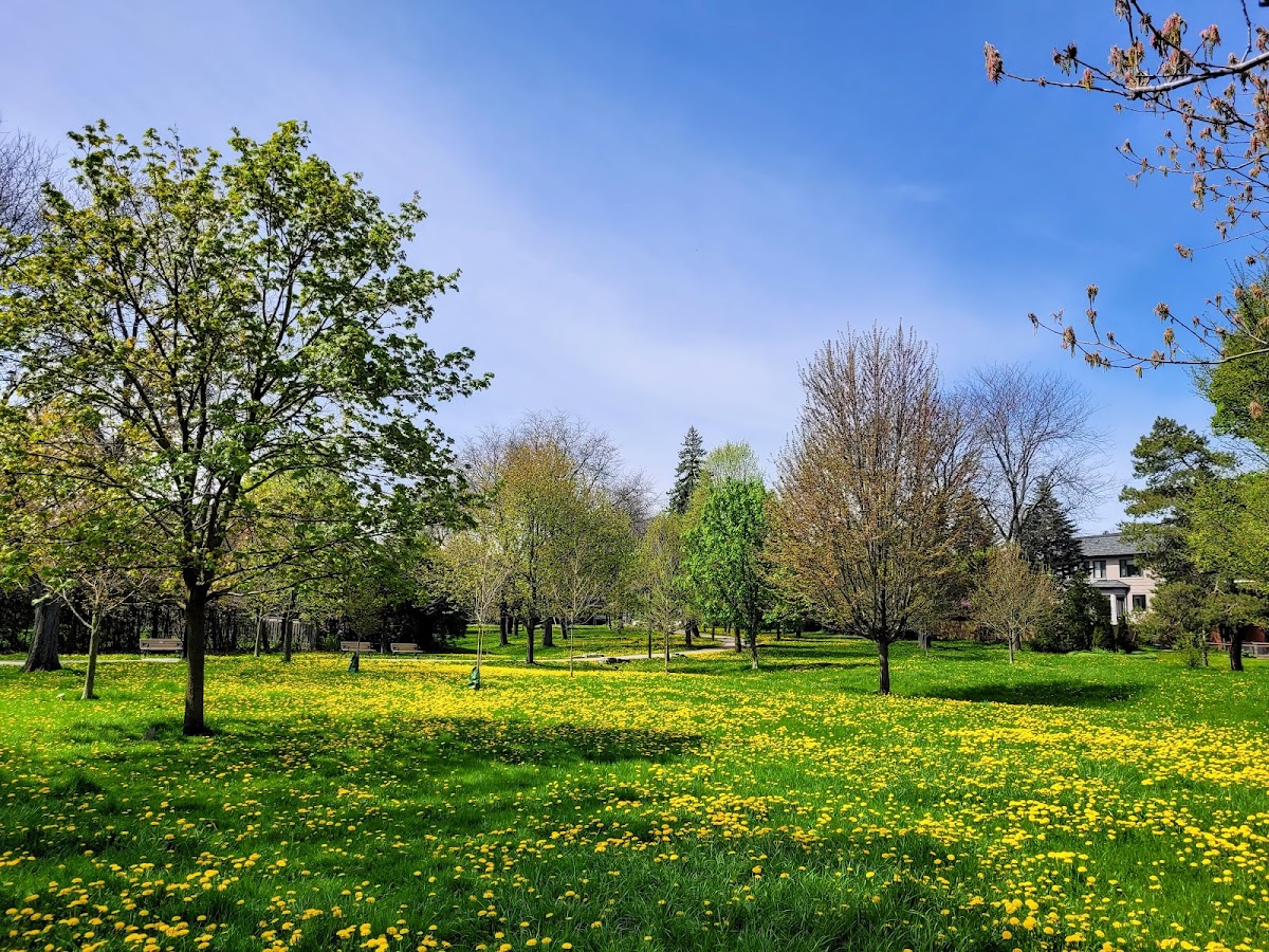Rippleton Park — site photograph