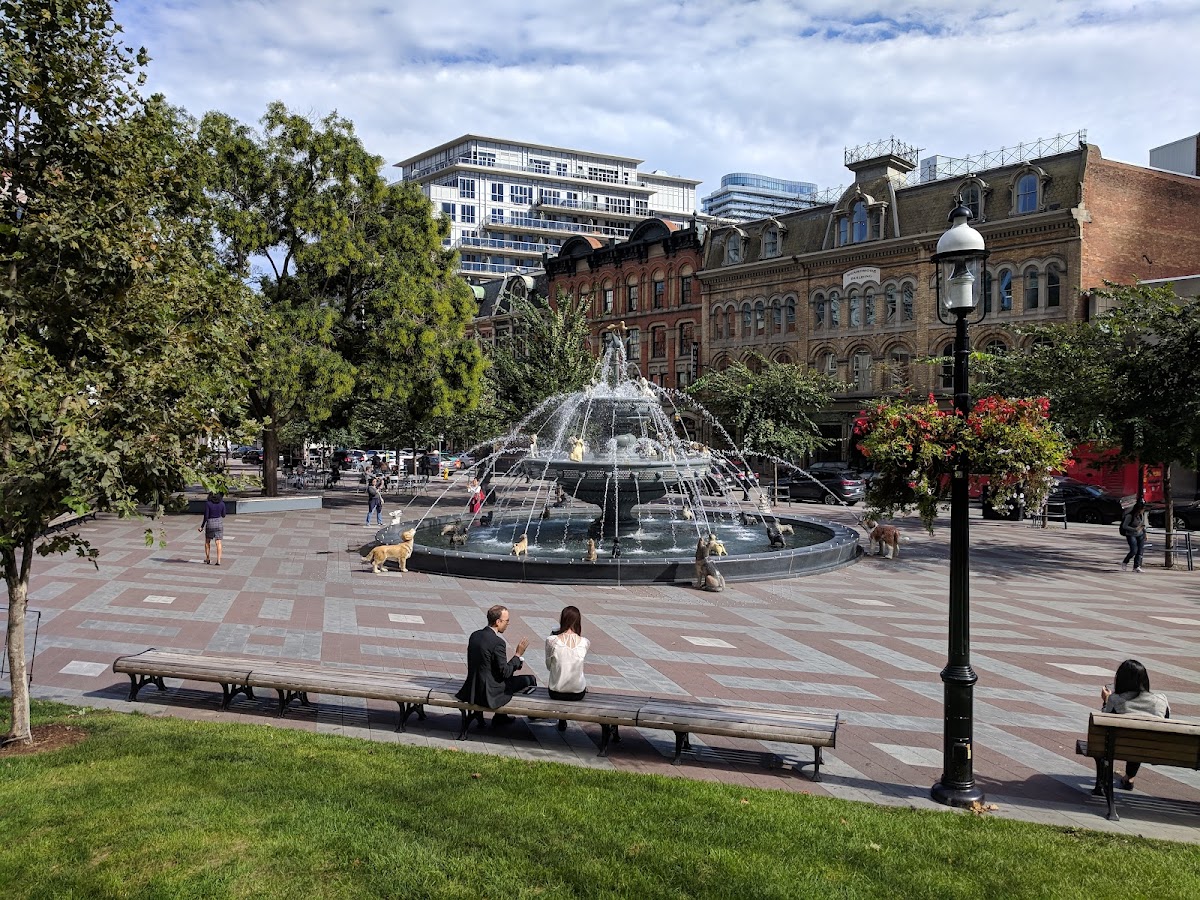 Berczy Park — site photograph