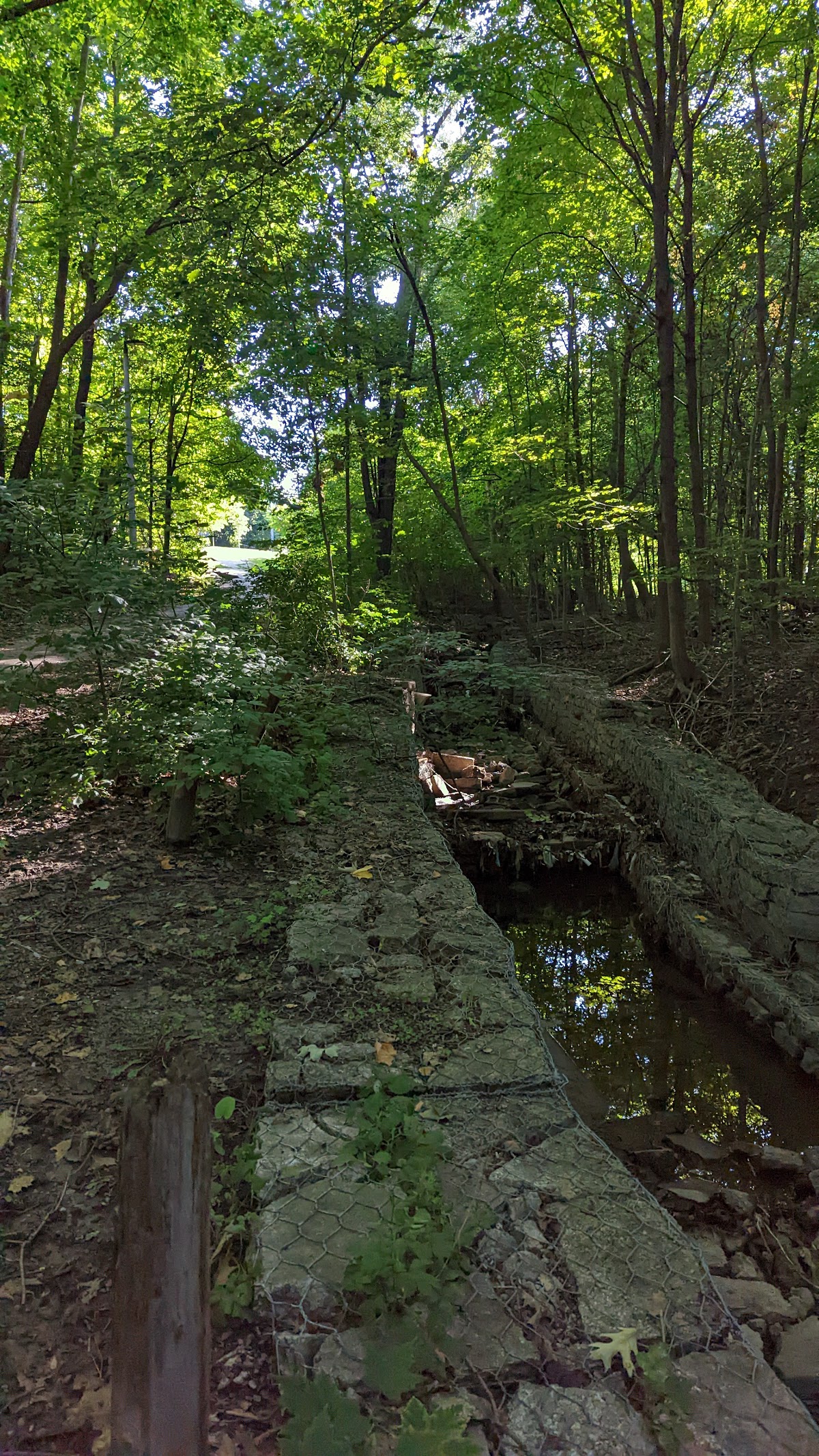 Giovanni Caboto Park — site photograph