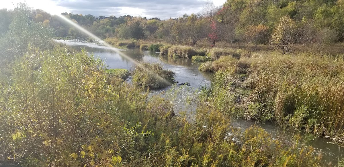 Garland Park — site photograph