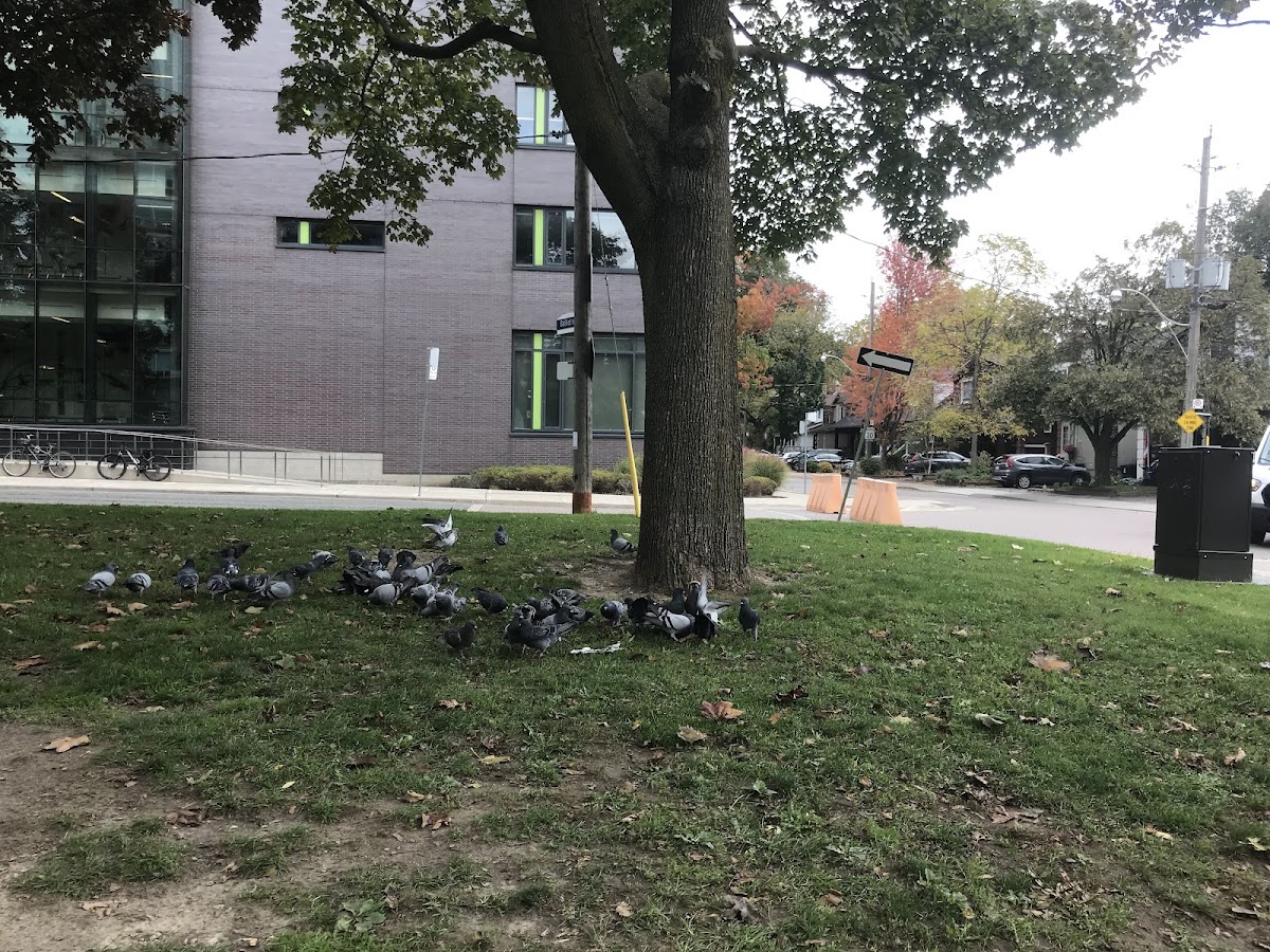 Mount Pleasant Parkette — site photograph