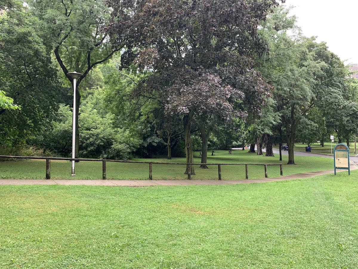 Lawren Harris Park — site photograph