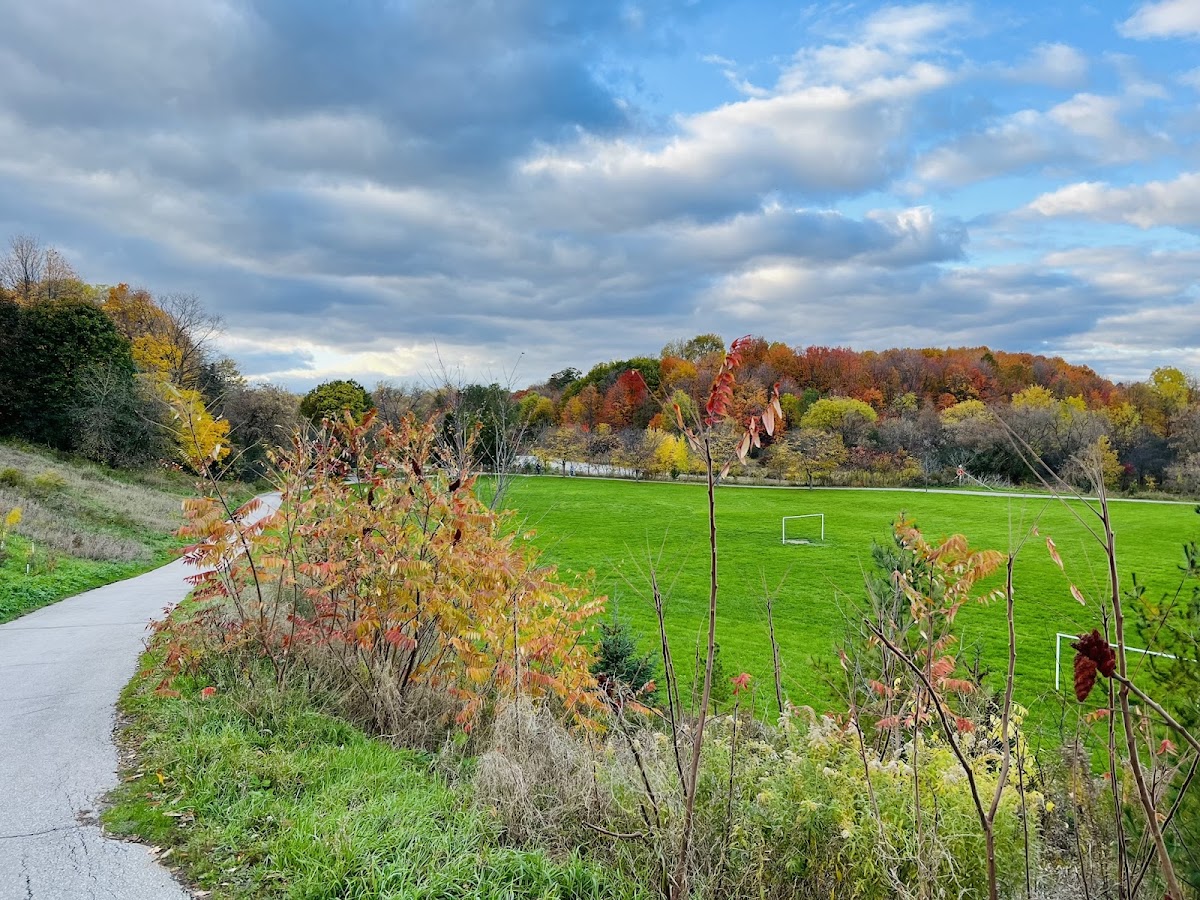Esther Lorrie Park — site photograph