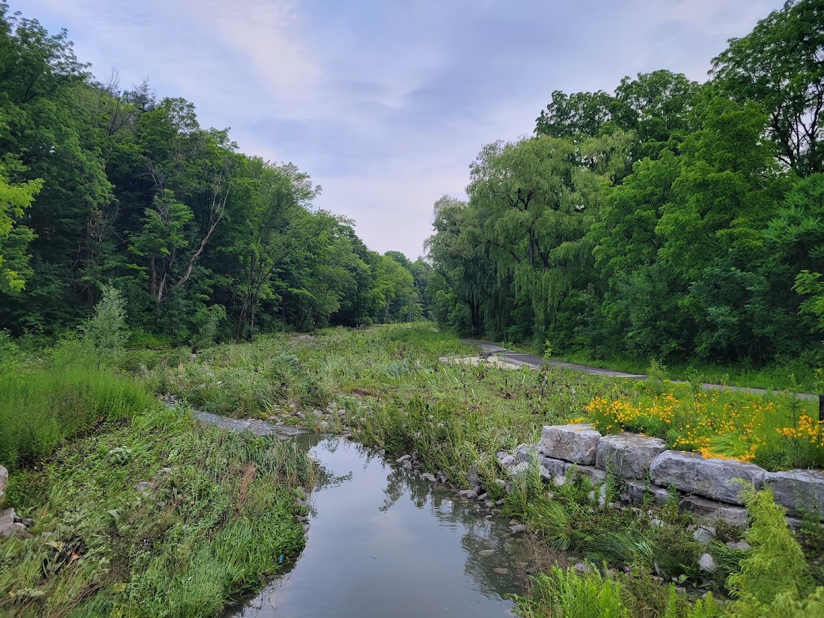 Duncan Creek Park — site photograph