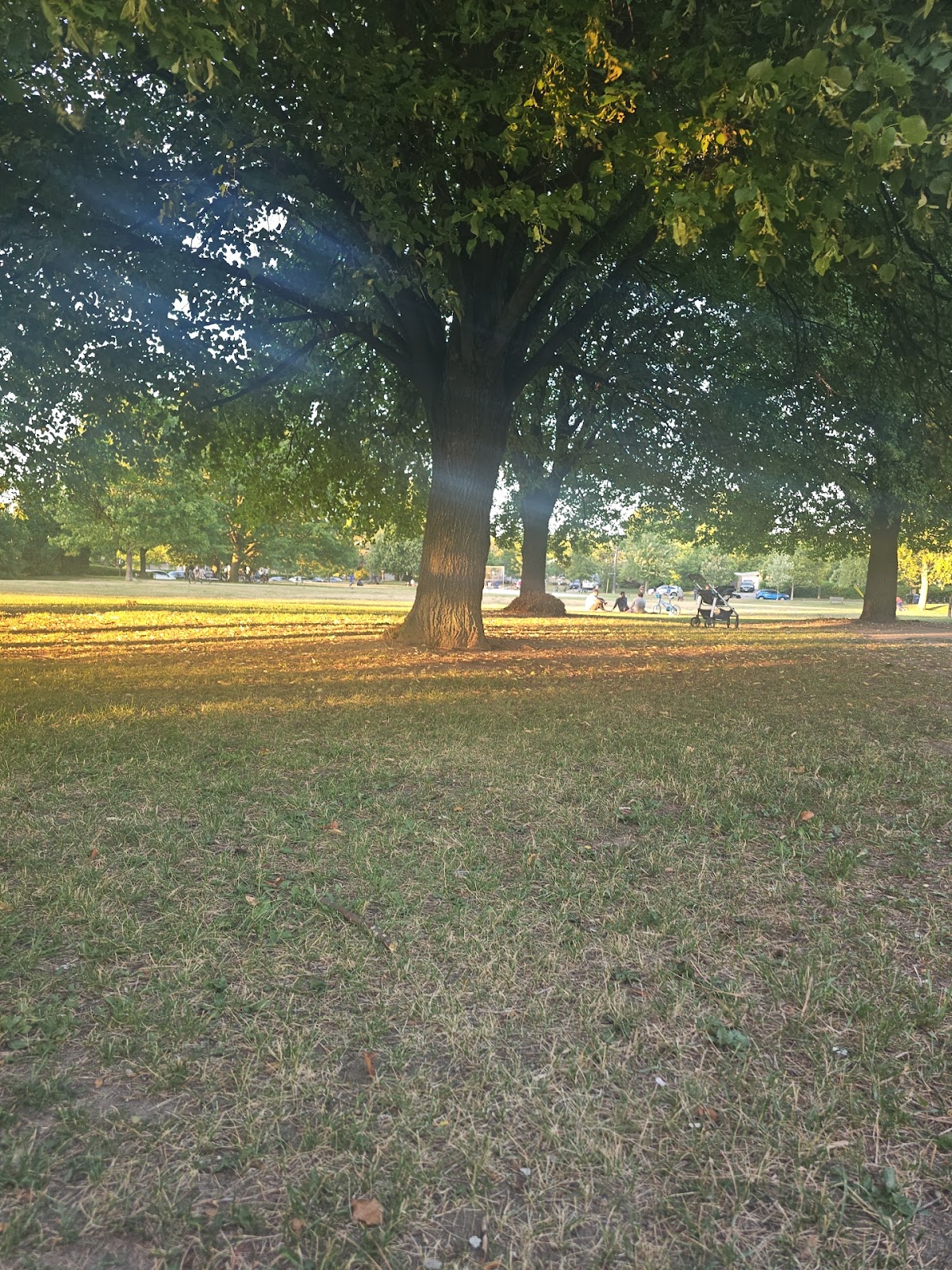 Maidavale Park — site photograph