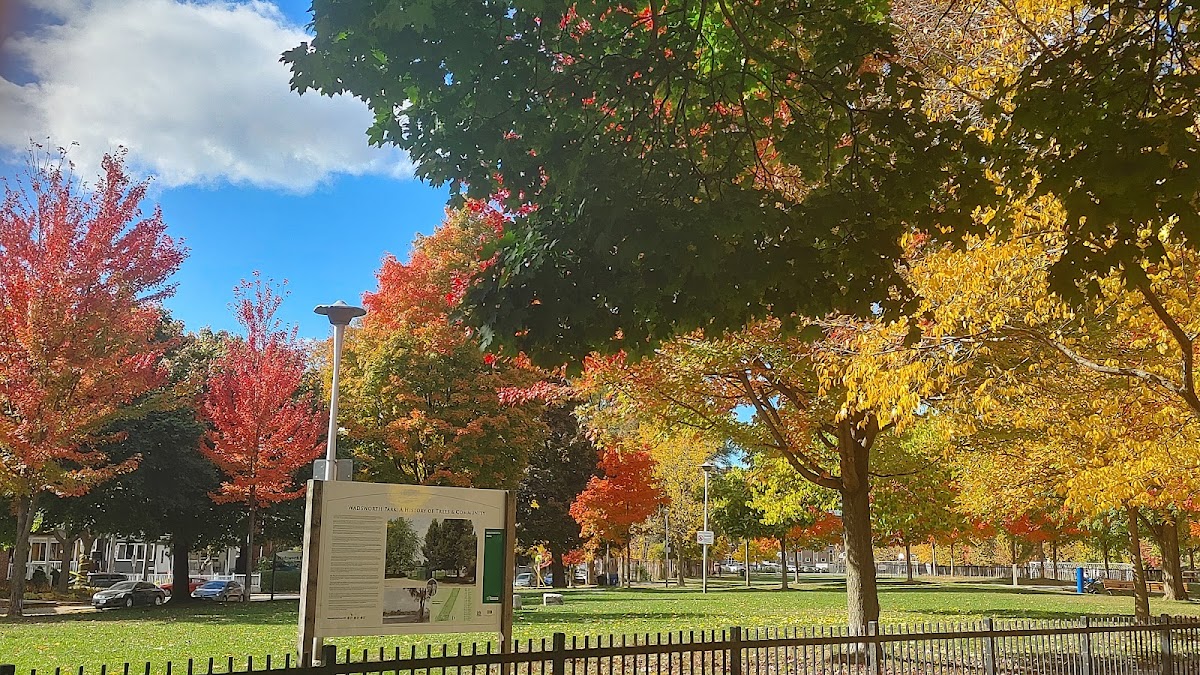 Wadsworth Park — site photograph