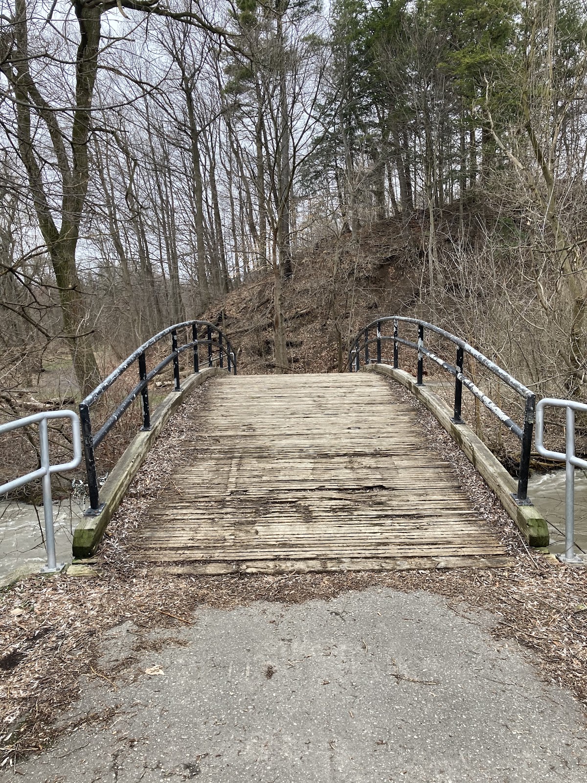 Northwood Park — site photograph