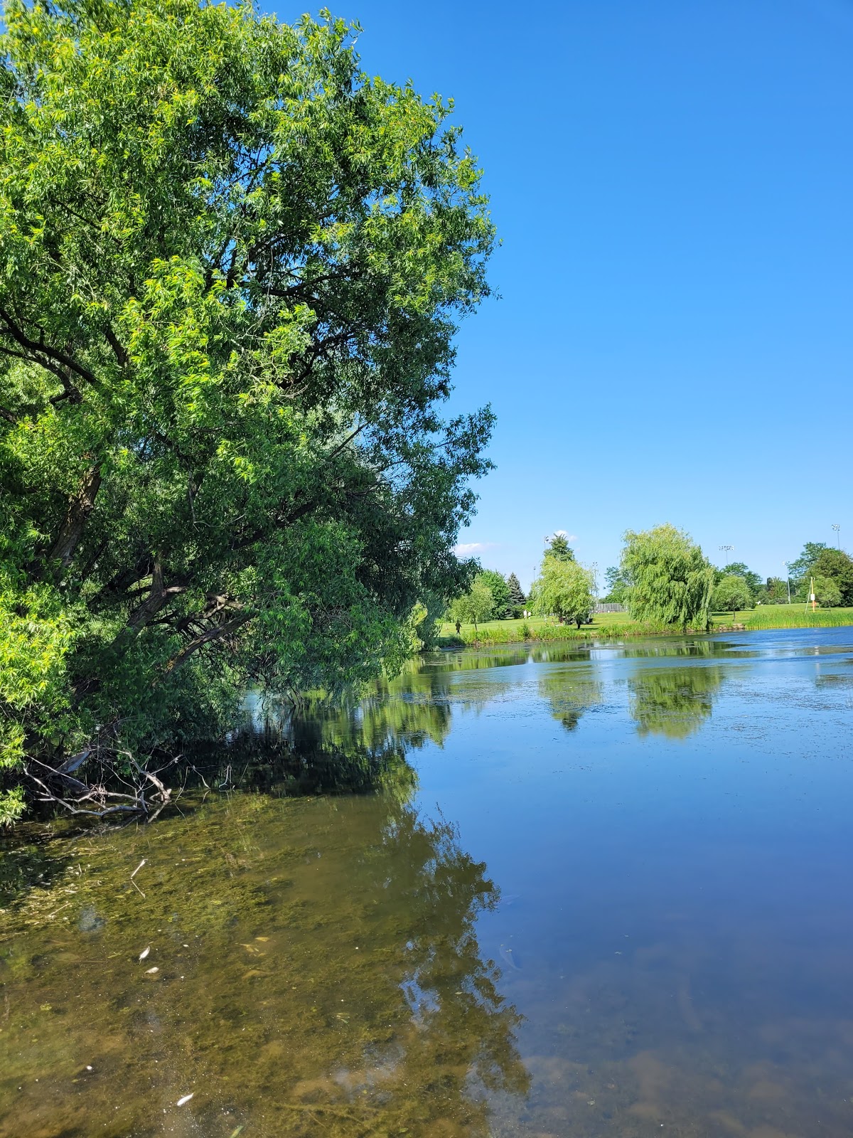 Centennial Park - Etobicoke — site photograph