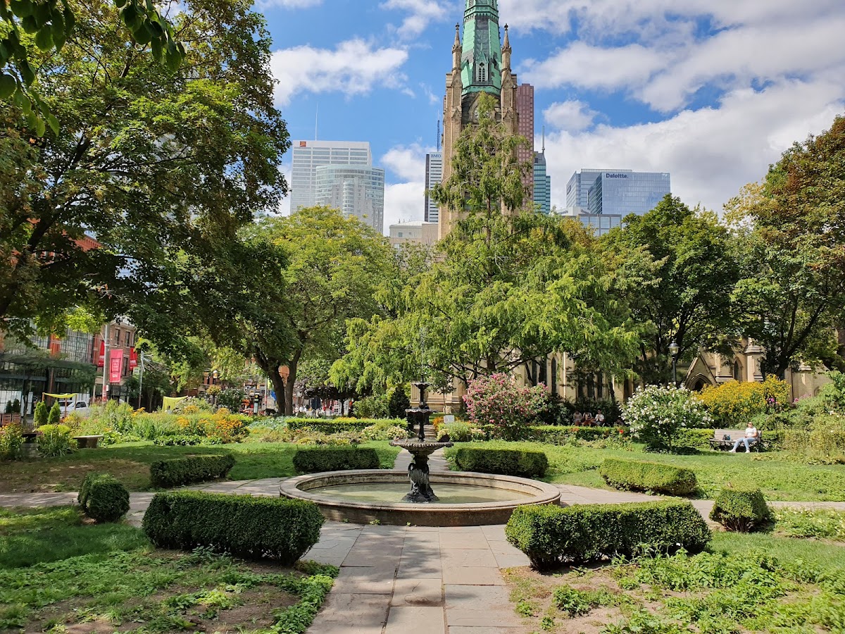 St. James Park — site photograph