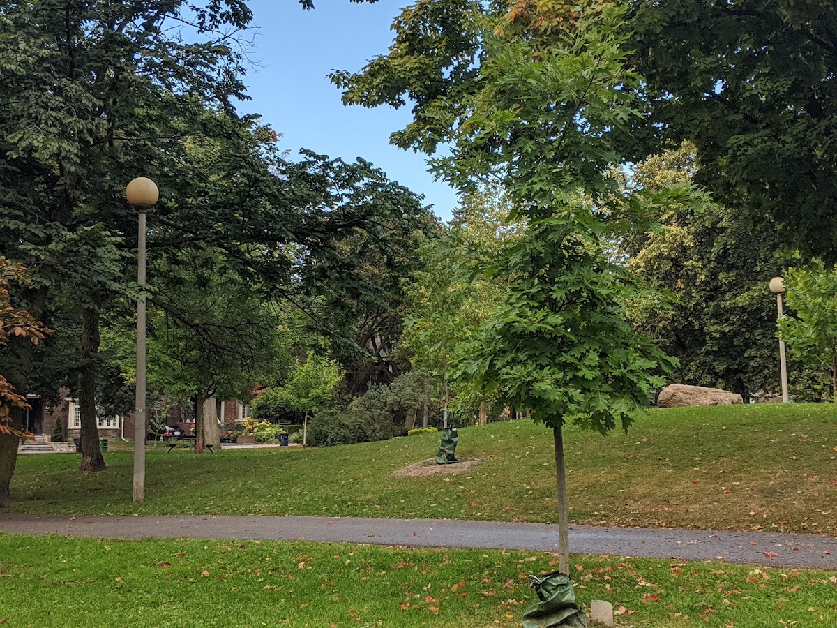 Humewood Park — site photograph