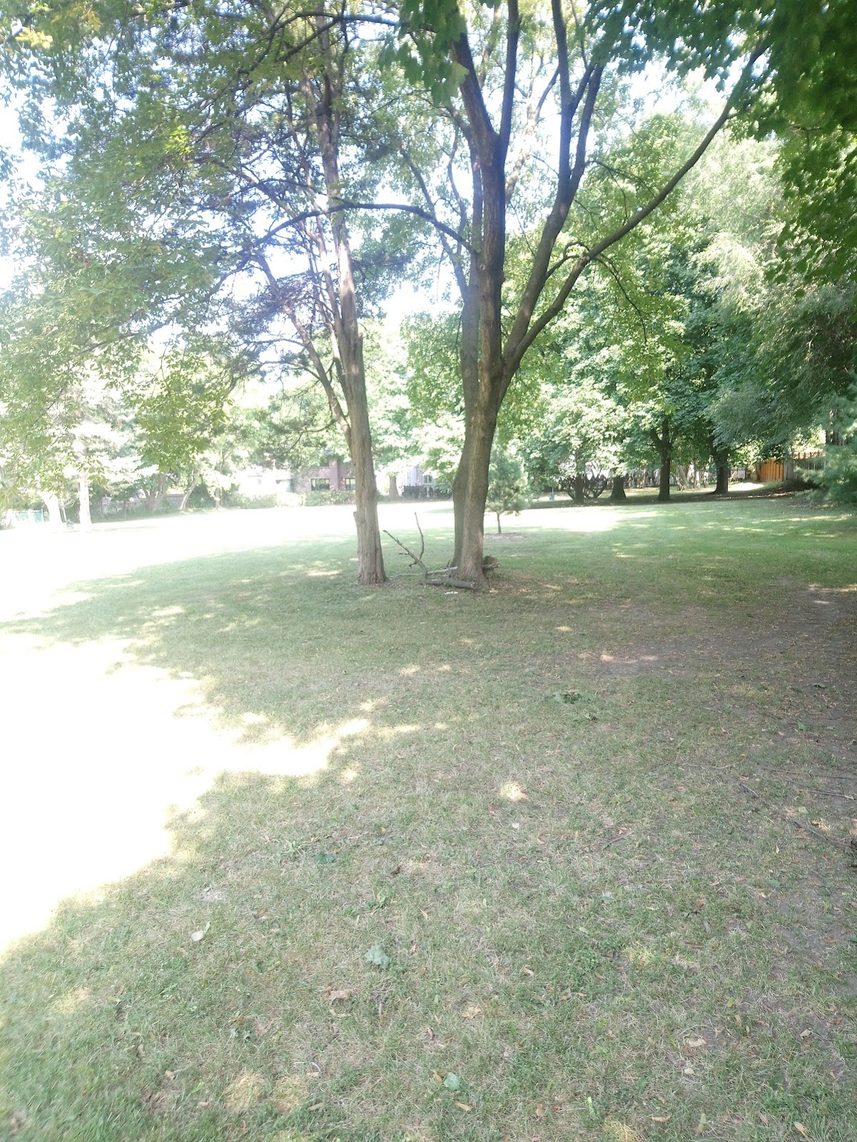 Yorkminster Park — site photograph