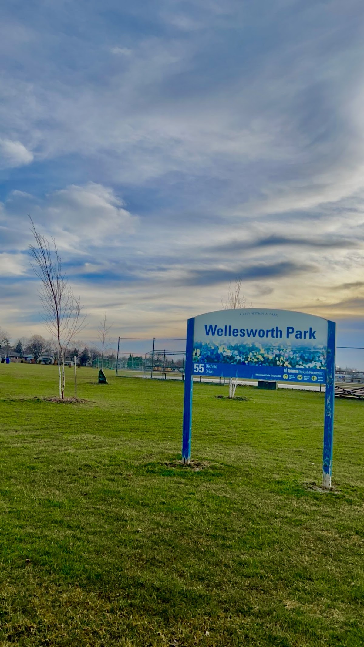 Wellesworth Park — site photograph