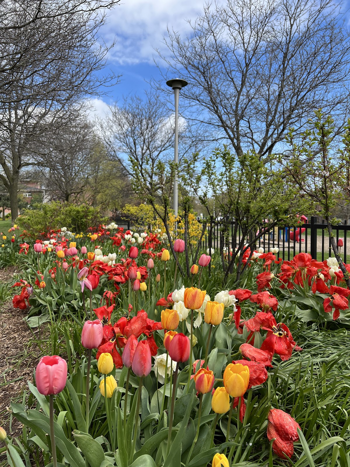 Primrose Avenue Parkette — site photograph