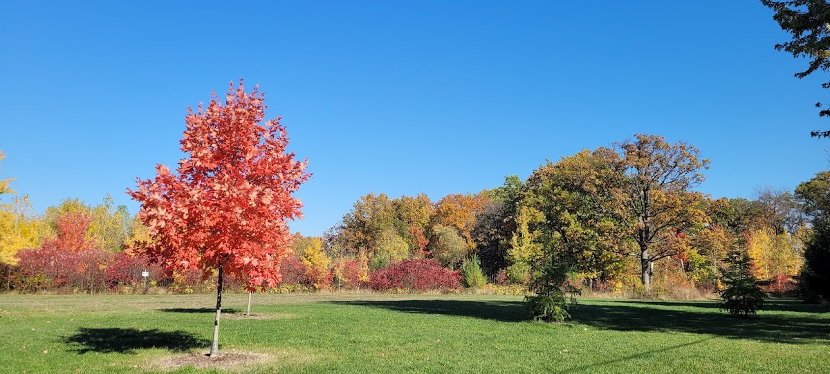 Heathercrest Park — site photograph