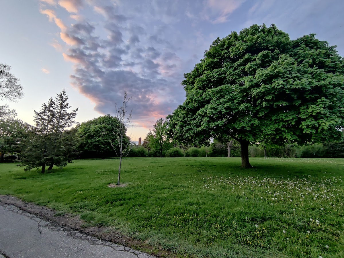 Colony Park — site photograph