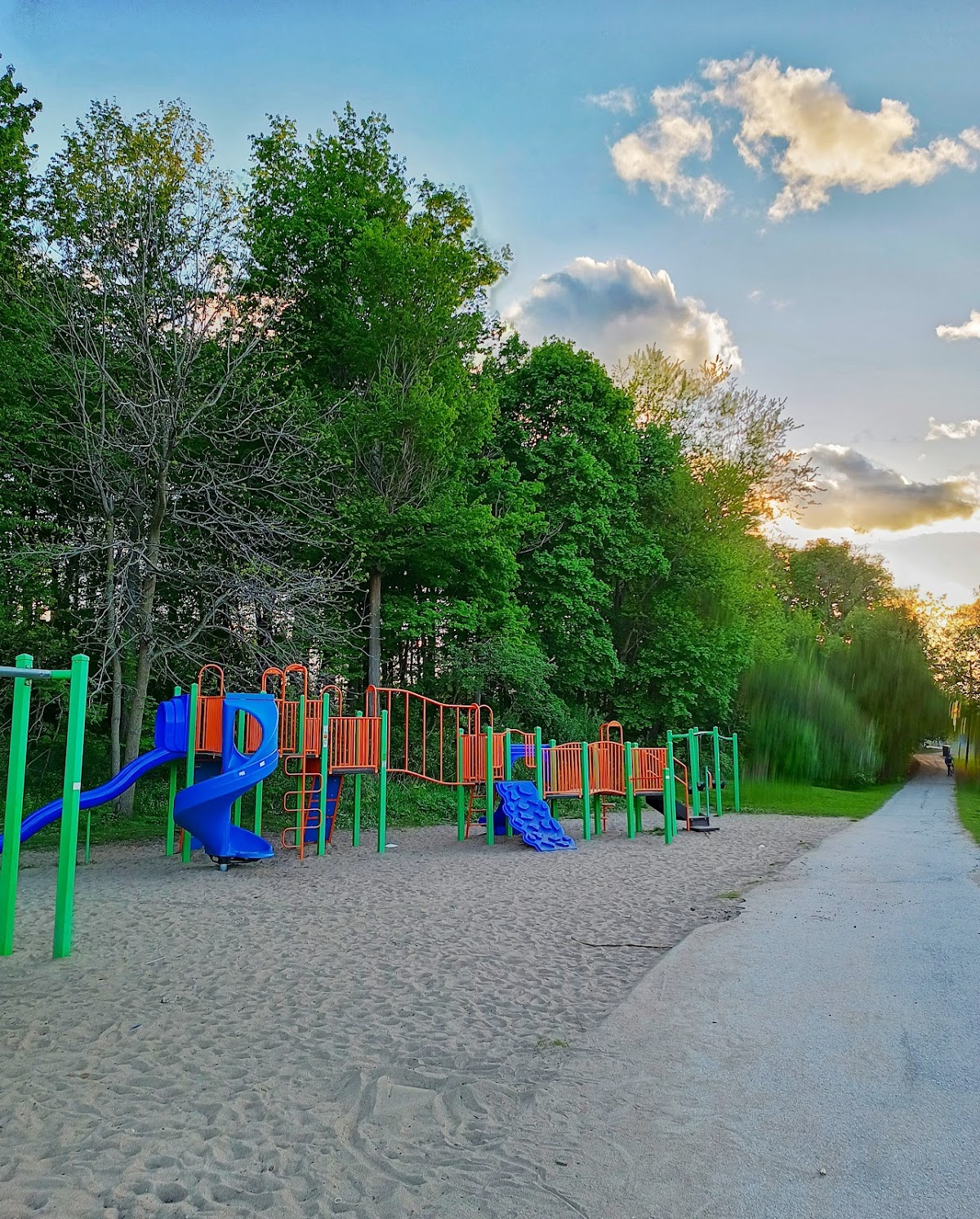 Lord Roberts Woods — site photograph