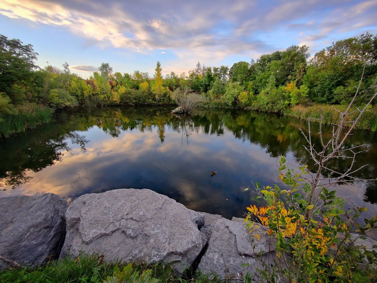 Terraview Park — site photograph