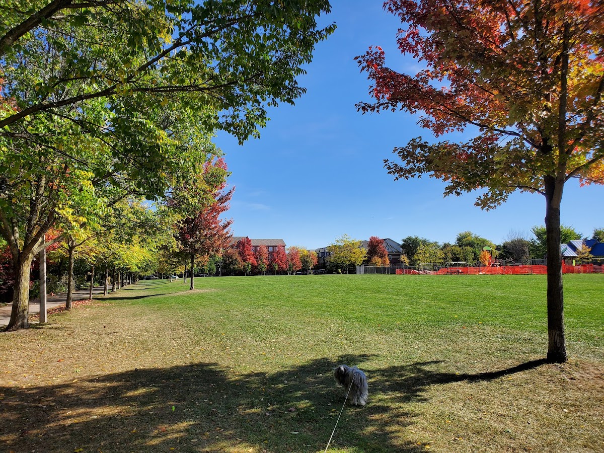Bob Acton Park — site photograph