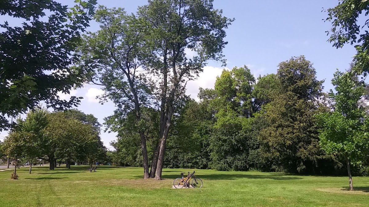 Tottenham Parkette — site photograph