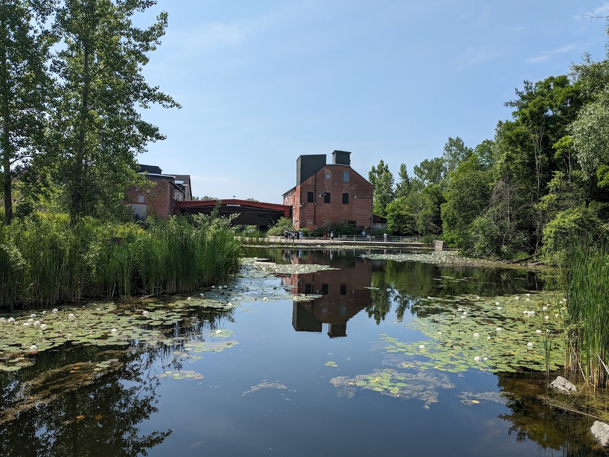 Don Valley Brick Works — site photograph