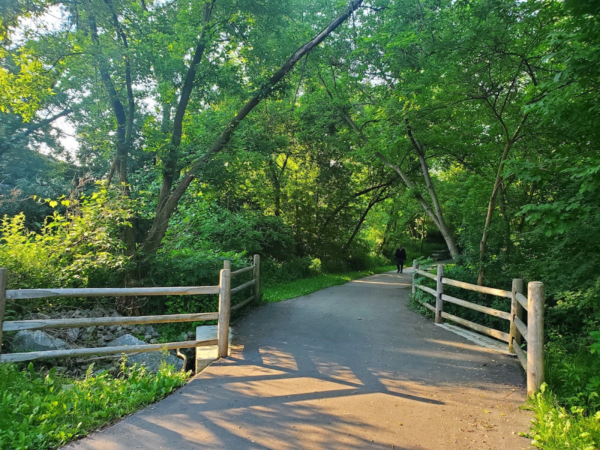 Elmcrest Park — site photograph