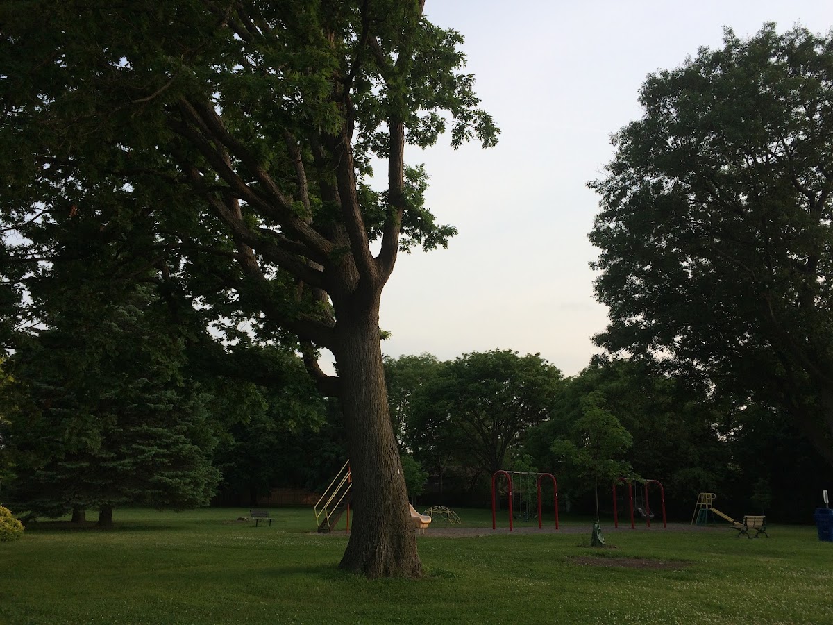 Allanhurst Park — site photograph