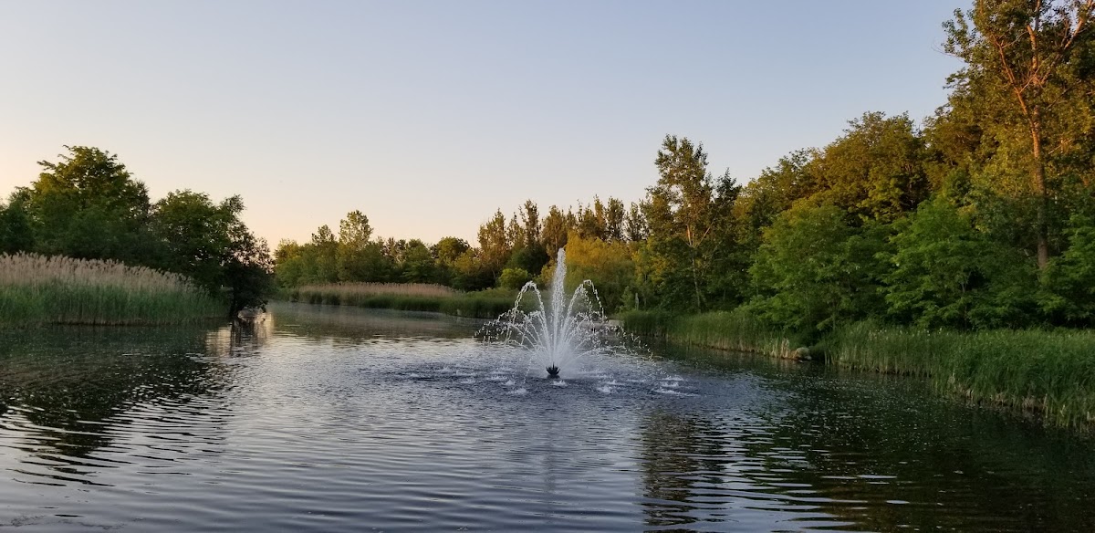 Milliken Park — site photograph